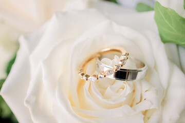 Wedding bands close-up on roses