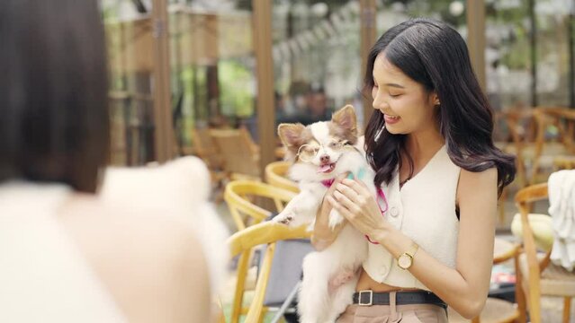 Asian woman friends with her dog meeting together at pets friendly dog park cafe. Domestic dog with owner enjoy urban lifestyle on summer vacation. Pet humanization or pet ownership community concept.