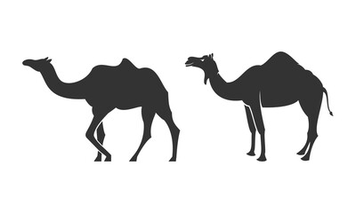 Camel set illustration vector design
