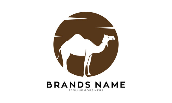 Camel silhouette illustration icon logo