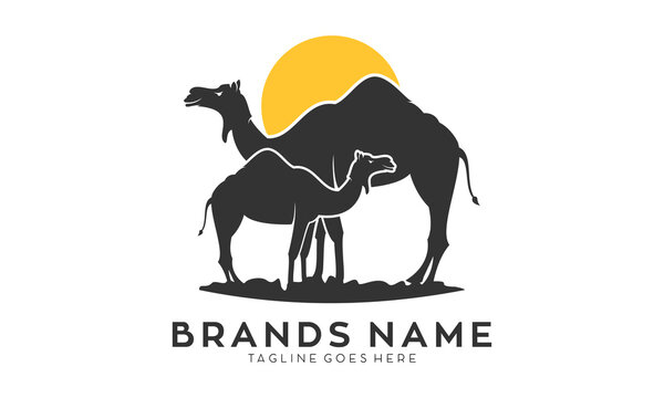 Two camel and sun illustration vector logo
