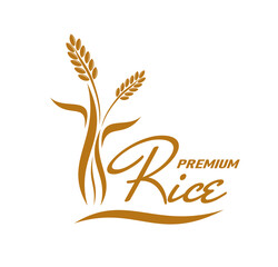 Rice harvest icon. Cereal growth agriculture company emblem, quality rice shop or store sign or icon, natural food products farmer market vector emblem, symbol with rice plant ear, grains and leaves