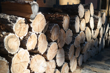 The cut logs are stacked on one side