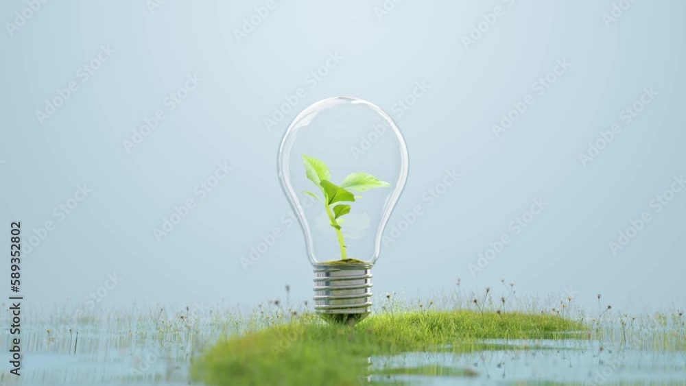 Poster tree growing animation in light bulb on grass or meadow. conceptual design in environment or energy 