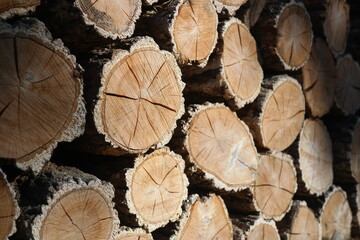 Naklejka premium Woodpile of chopped firewood prepared for winter