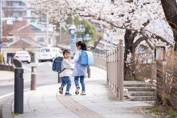 Fototapeta na wymiar 桜の下を歩く小学生 　cherry blossoms