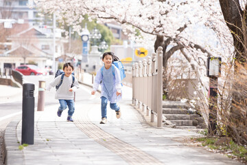桜の下ではしゃぐ小学生 　cherry blossoms