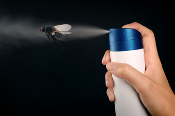 Woman spraying insect aerosol on fly against black background, closeup