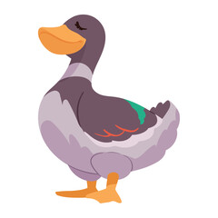 duck farm animal
