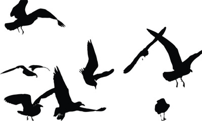 set of silhouettes of birds