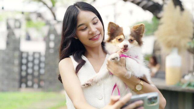 Asian woman using mobile phone taking selfie with her chihuahua dog at pets friendly dog park cafe. Domestic dog with owner enjoy urban outdoor lifestyle on summer vacation. Pet Humanization concept.