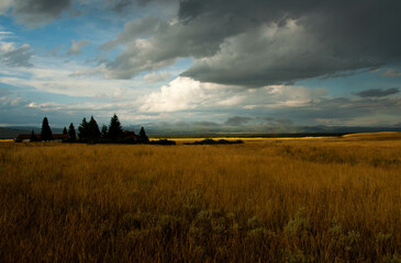 Fototapeta premium clouds over the field