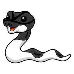 Cute panda pied ball python cartoon