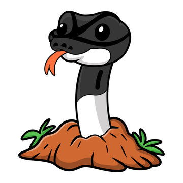 Cute panda pied ball python cartoon out from hole