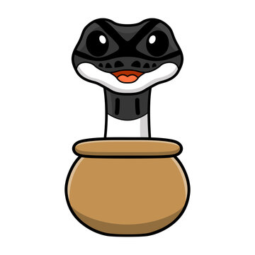 Cute panda pied ball python cartoon inside the sack
