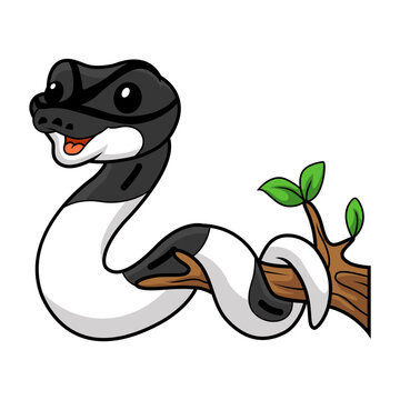 Cute panda pied ball python cartoon on tree branch