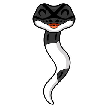 Cute panda pied ball python cartoon