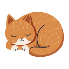 Cute kitten icon, sleeping animal