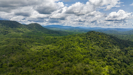 Obraz premium Rainforests on the island of Borneo. Jungle in the tropics. Malaysia.