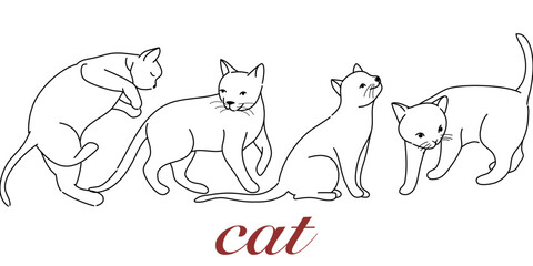 doodle Cat poses. Cartoon red fat striped cats emotions and behavior. Animal pet kitten playful, sleeping and scared. Cat body language vector set. Illustration pet cat, cute striped animal kitten