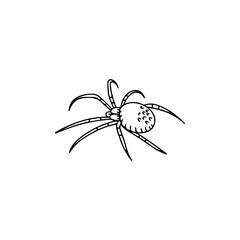 vector illustration doodle spider concept
