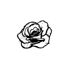 vector illustration of a black rose