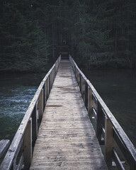 Wooden bridge over the river in coniferous forest moody photo - 589367840