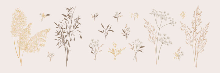 Collection of bouquets of wild herbs. Botanical set with dried grasses. Neutral tones. Vector illustration. Sketch style. - obrazy, fototapety, plakaty