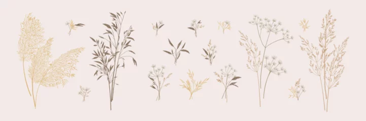Foto op Canvas Collection of bouquets of wild herbs. Botanical set with dried grasses. Neutral tones. Vector illustration. Sketch style. © Anna