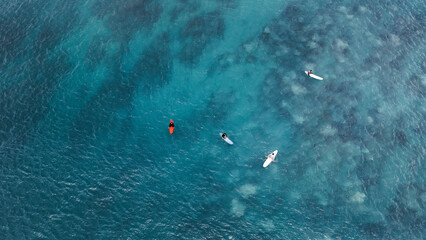 Surfers in the blue transparent ocean in Hawaii from above, aerial drone shot.