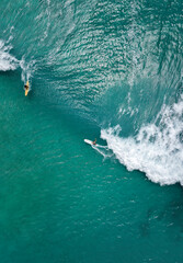 Fototapeta na wymiar Surfers in the blue transparent ocean in Hawaii from above, aerial drone shot.