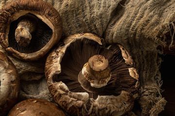 Agaricus Bisporus: Delicious and Nutritious Mushrooms for Your Culinary Delights
