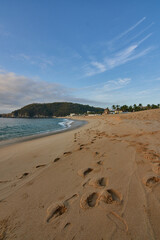 footprints in the sand