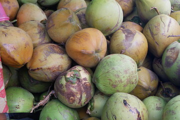 stacks of coconuts ready to produce coconut oil, coconut milk and fresh drinks