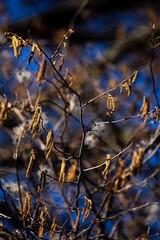 Miro Lange Art - Stock