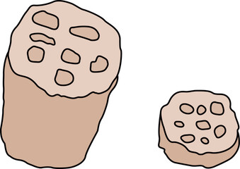 切れた蓮根のイラスト　輪切り付