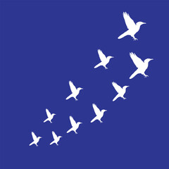 a flock of flying wild birds in the sky silhouette illustration 