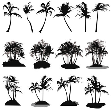 set of coconut palm trees collection vector