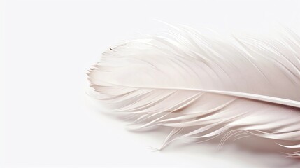 Feather Decorated Corner on White Background, Made with Generative AI
