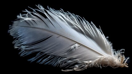 Single Feather Focus Background, Made with Generative AI