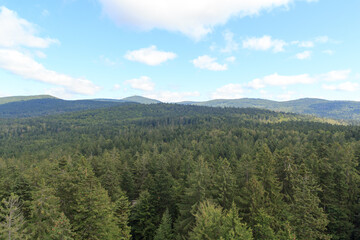 Fototapeta na wymiar Mountain and tree panorama view with summit Lusen seen from Treetop Walk Bavarian Forest in Bavarian Forest National Park, Germany