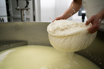 A cheesemaker prepares a form of Parmesan cheese using fresh curd. Cheese-making, separating the...