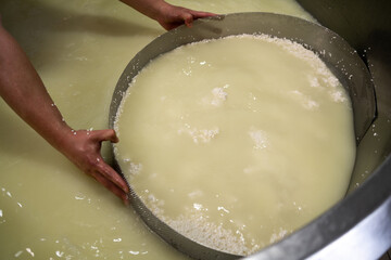 Manual worker or cheesemaker in cheese and milk dairy production factory. Traditional European handmade food manufacturing.
