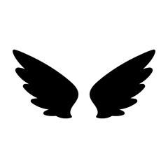 angel wings in heaven hawk feather wing pattern