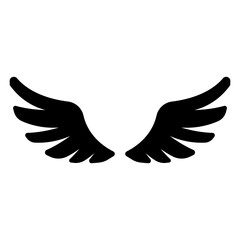 angel wings in heaven hawk feather wing pattern