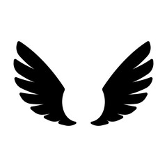 Obraz premium angel wings in heaven hawk feather wing pattern