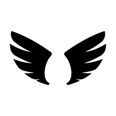 angel wings in heaven hawk feather wing pattern