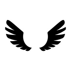 angel wings in heaven hawk feather wing pattern