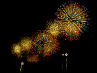 fireworks in the night sky