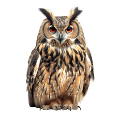 Obraz premium Owl isolated on white, transparent background, PNG, generative ai 